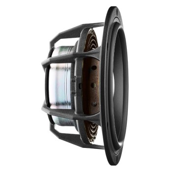 Dynaudio Special Forty diffusori hifi da scaffale special edition