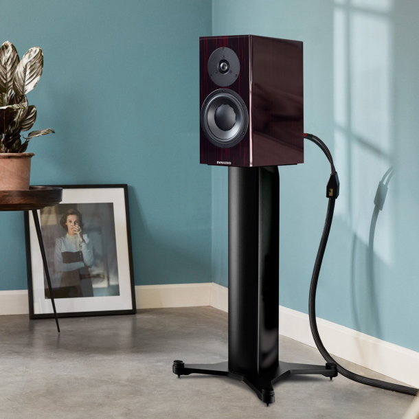 Dynaudio Special Forty diffusori hifi da...